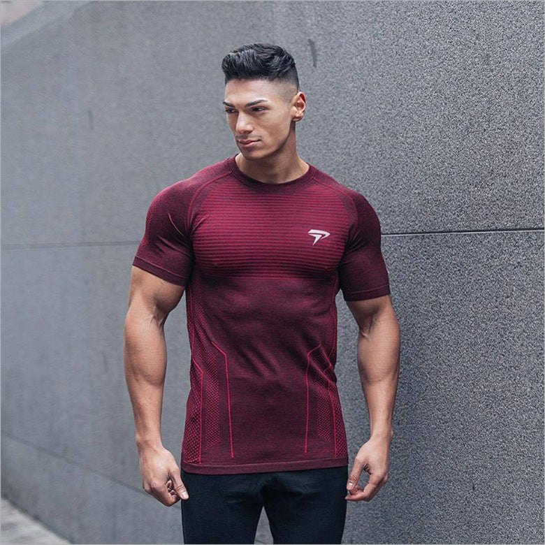 Muscle new men's cotton sports T-shirt