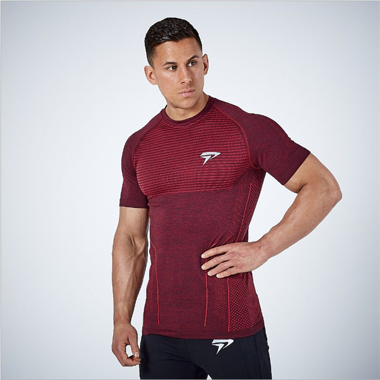 Muscle new men's cotton sports T-shirt