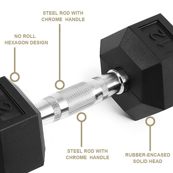 20LB 2 HDRS Rubber Coated Solid Cast Iron Dumbbells