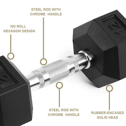 20LB 2 HDRS Rubber Coated Solid Cast Iron Dumbbells