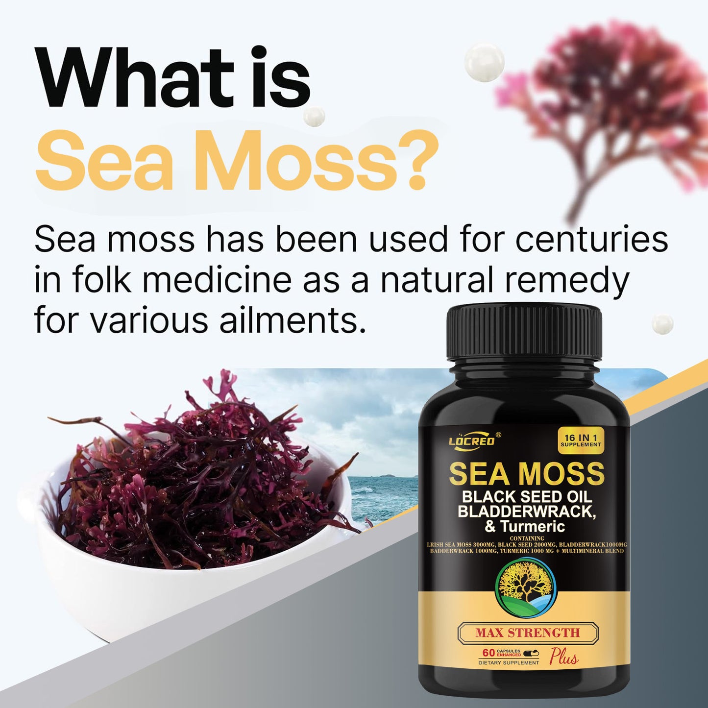 Supplements Joint Support Sea Moss Capsule 16-in-1
