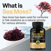 16-in-1 Supplements Joint Support Sea Moss Capsule